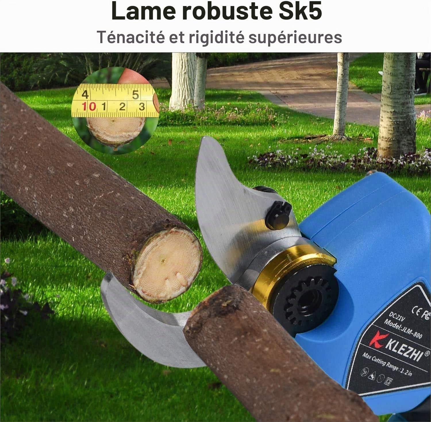 Sécateur Électrique sans fil, DC 21V Ciseaux de Jardinage Professionnel, 2PCS 2Ah Batterie au Lithium Rechargeable, Diamètre de Coupe 30MM (1,2 Pouce), 6-8 Heures de Travail (Bleu foncé)