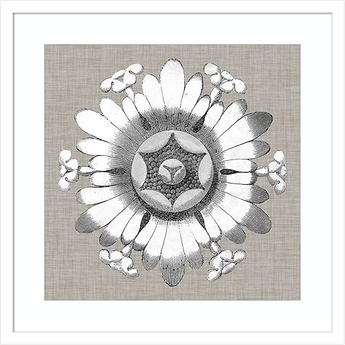 Miniatura 13 de Amanti Art Vision Studio - Impresión artística enmarcada de 36 x 36 pulgadas, diseño de roseta neutra V por Vision Studio, arte de pared de flores,