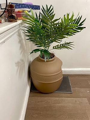 palm tree litter box