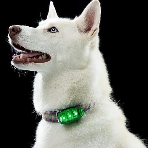 Miniatura 5 de EverLightFX - Luz LED de seguridad recargable por USB (paquete de 2) por Apace, luz trasera de bicicleta súper brillante funciona brillantemente