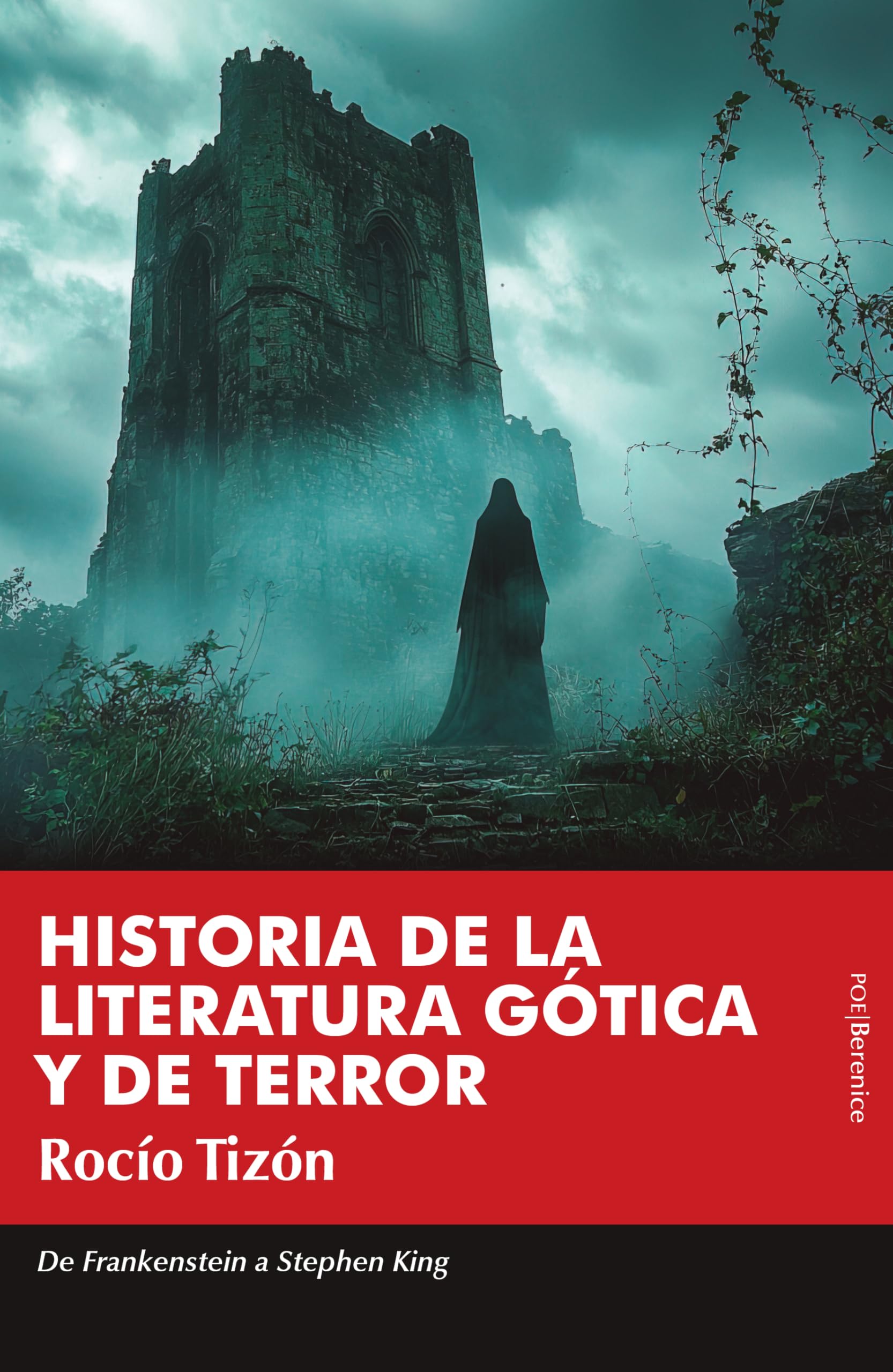 Historia de la literatura gótica y de terror: De Frankenstein a Stephen King (Poe (Terror y fantasía))
