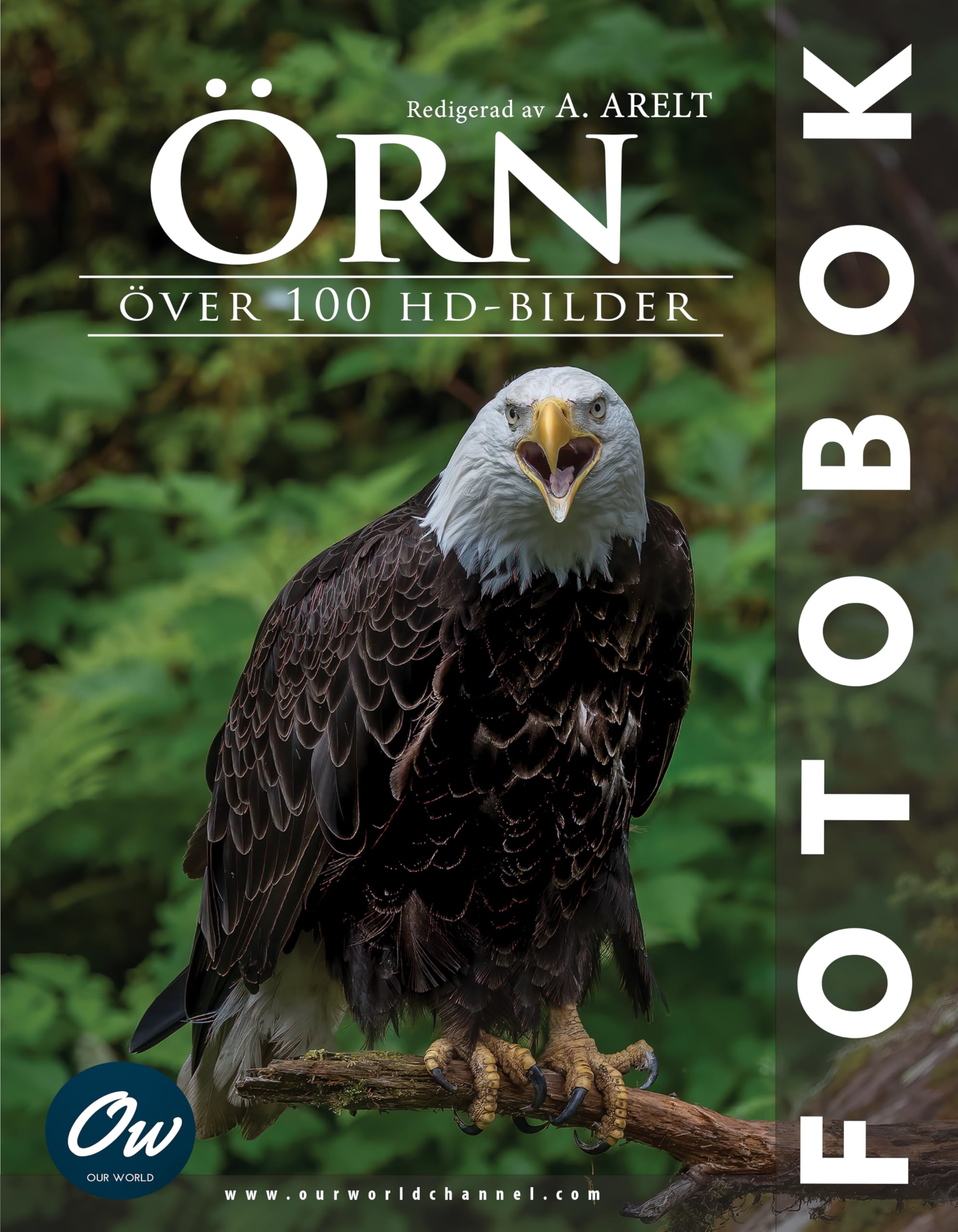 Örn Fotobok Swedish Edition livre photographie nature faune sauvage rapace