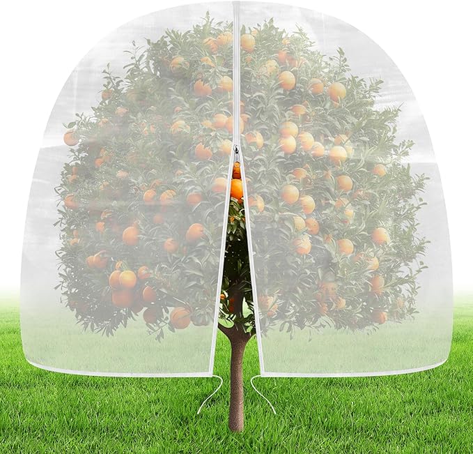 Amazon.com : Evoio 8 x 10 FT Large Fruit Tree Garden Plant Protector ...