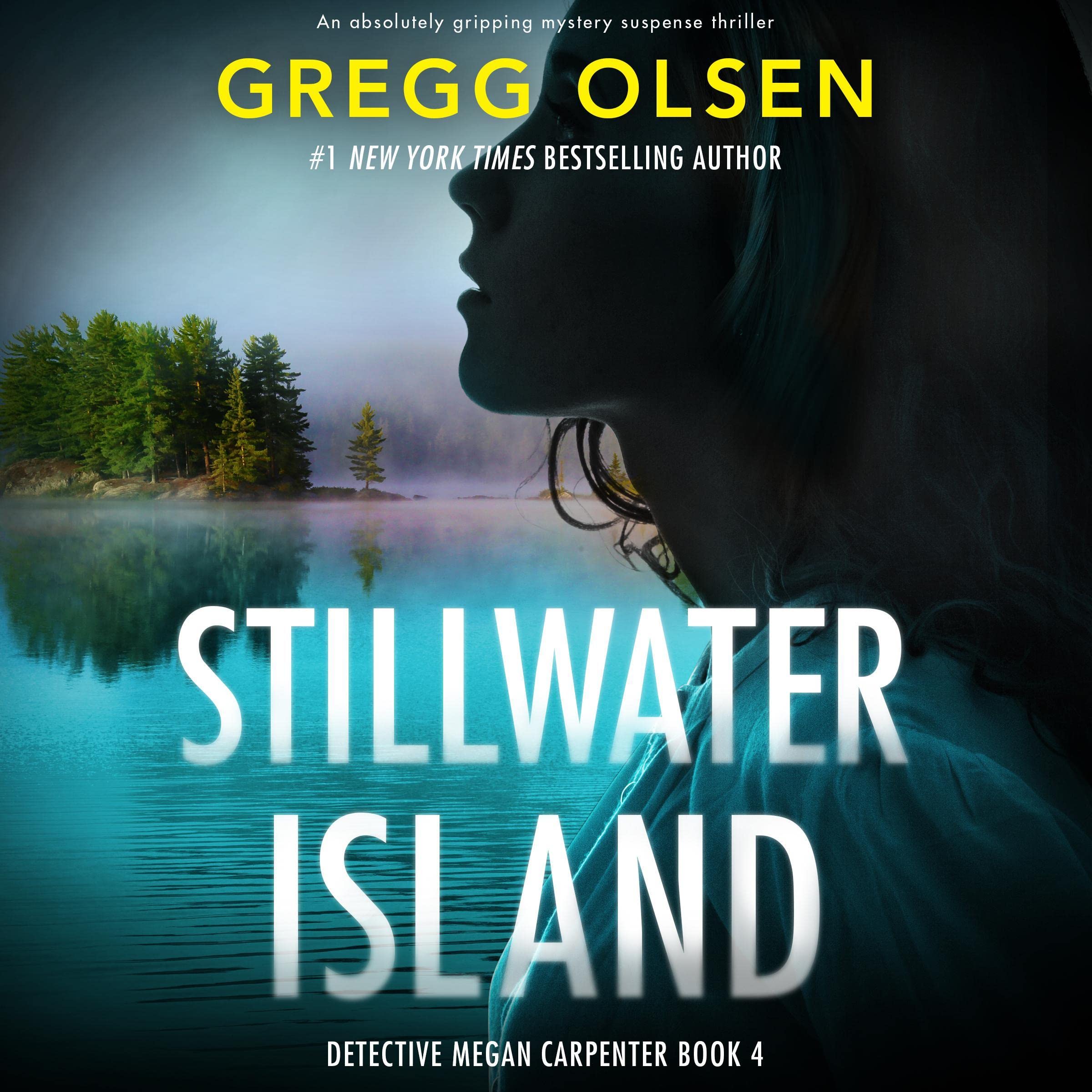 Cover art for Stillwater Island