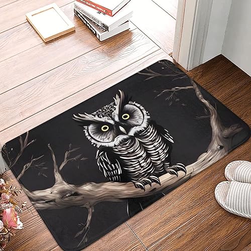 Late Night Owl Indoor Doormat Washable Welcome Mats Non Slip Entryway Floor Mat Floor Outdoor Indoor Rug for Home Entrance, Outside Entry, Yard 23.6