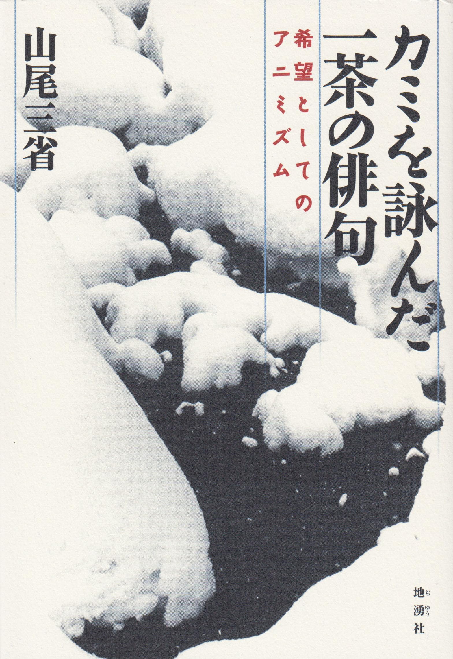 カミを詠んだ一茶の俳句　希望としてのアニミズム 81ntF1GAOZL.jpg