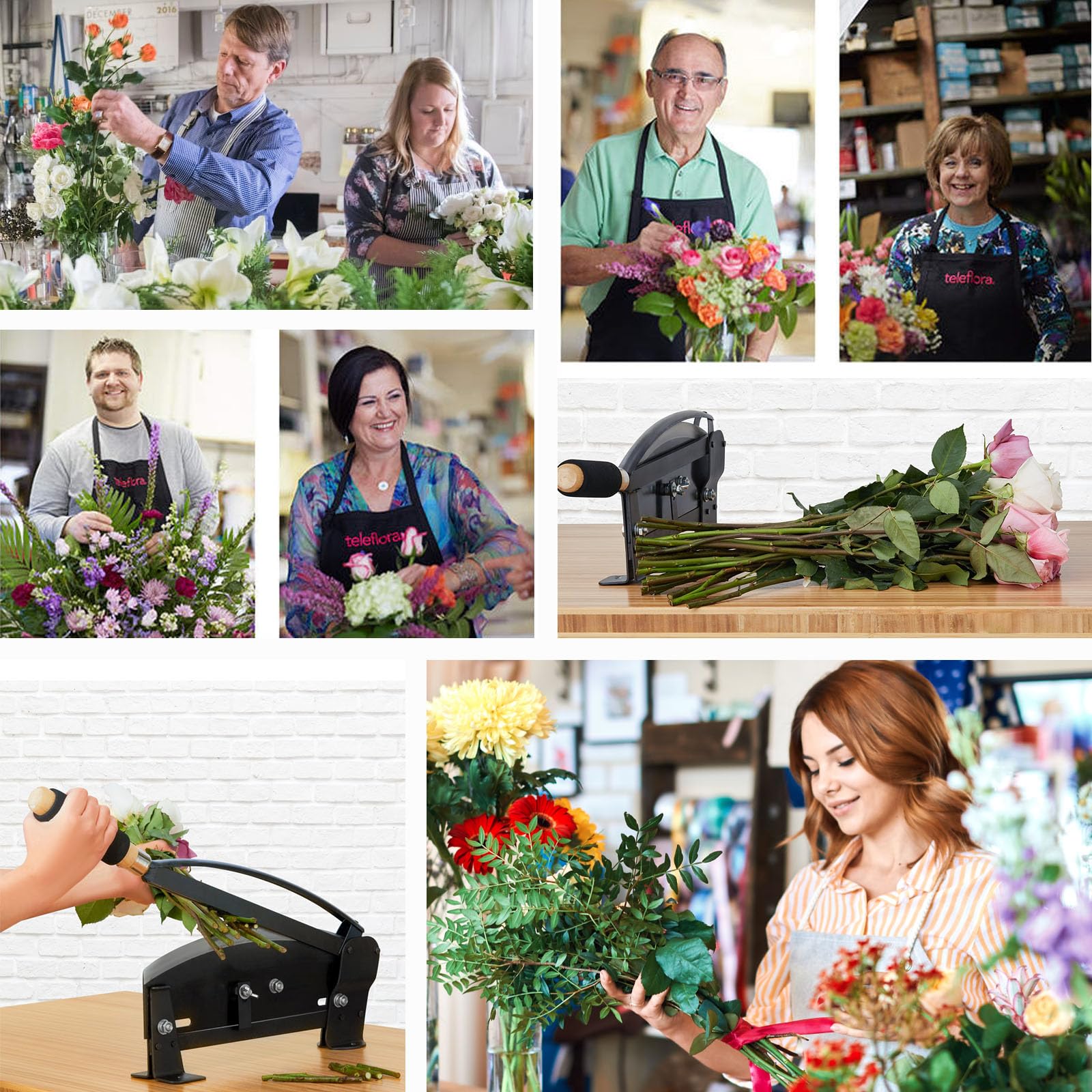 Amazon.com: Wonglea Professional Flower Stem Cutter,Large