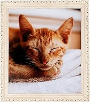 Vista 8 de ArtToFrames 11 x 14 pulgadas, marco de fotos blanco antiguo lavado con cuentas, de 1.25 pulgadas, para tu arte o fotos; viene con vidrio regular