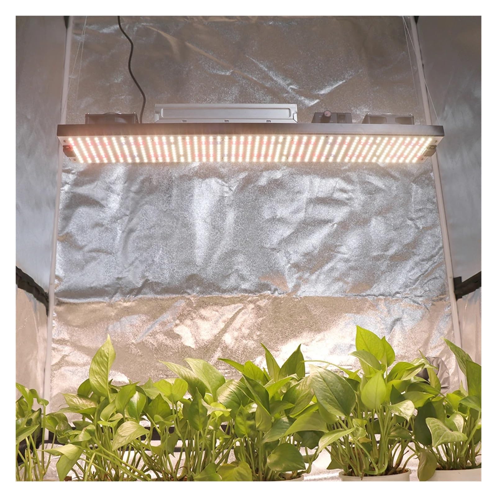 Lampe de Plante, 320w LED à spectre complet élèvent la lumière quantique LM301H panneau LED à intensité variable, Phytolamp uv/ir allumer/éteindre for la croissance des plantes d'intérieur(1000W)