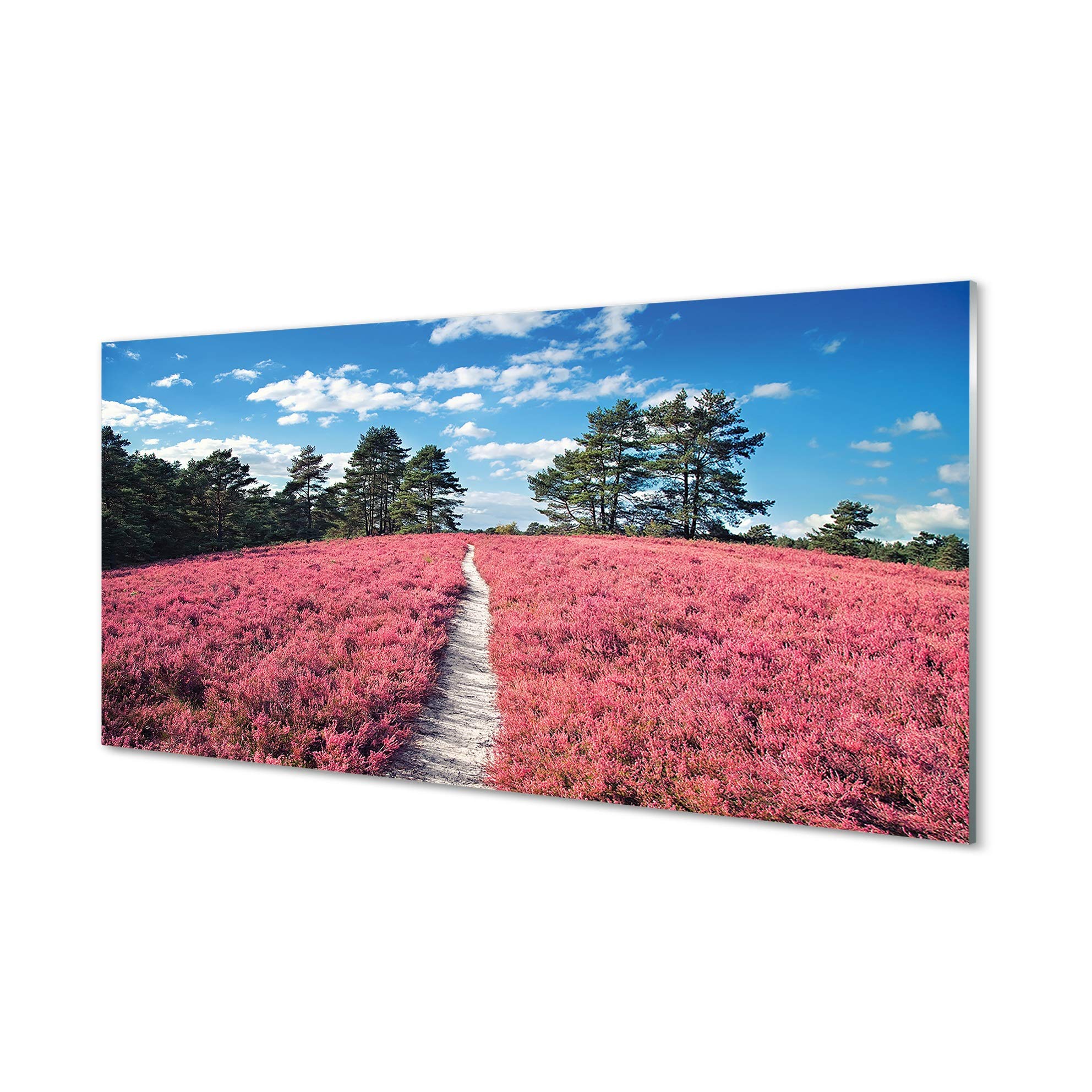 Peinture murale haut de gamme en verre trempé 140x70cm forêt fleurie Tulup