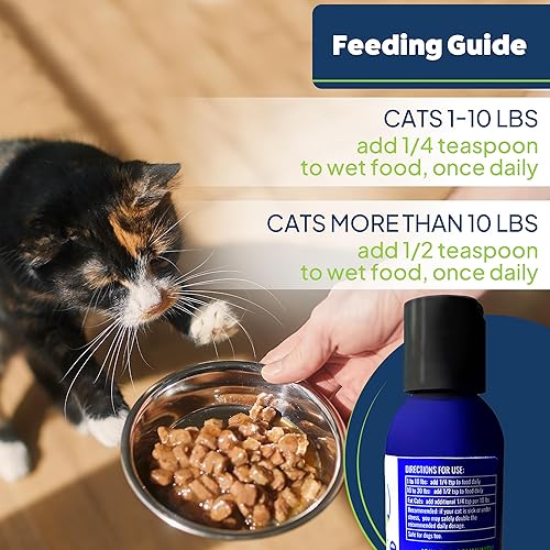 Miniatura 6 de Catalyst - Fórmula enzimática antioxidante para gatos - Enzima digestiva para gatos - Enzimas digestivas para gatos - Soporte digestivo para gatos -