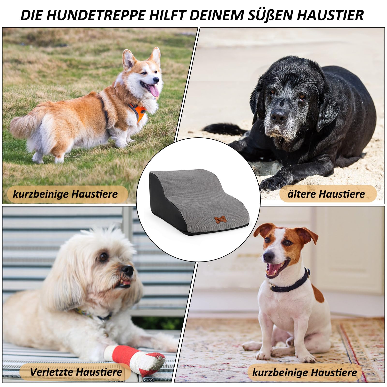 CALIYO Scala per cani a 2 gradini per cani di piccola taglia 26 cm di altezza con fodera lavabile e fondo antiscivolo per letto, divano e auto (55 x 40 x 26 cm)