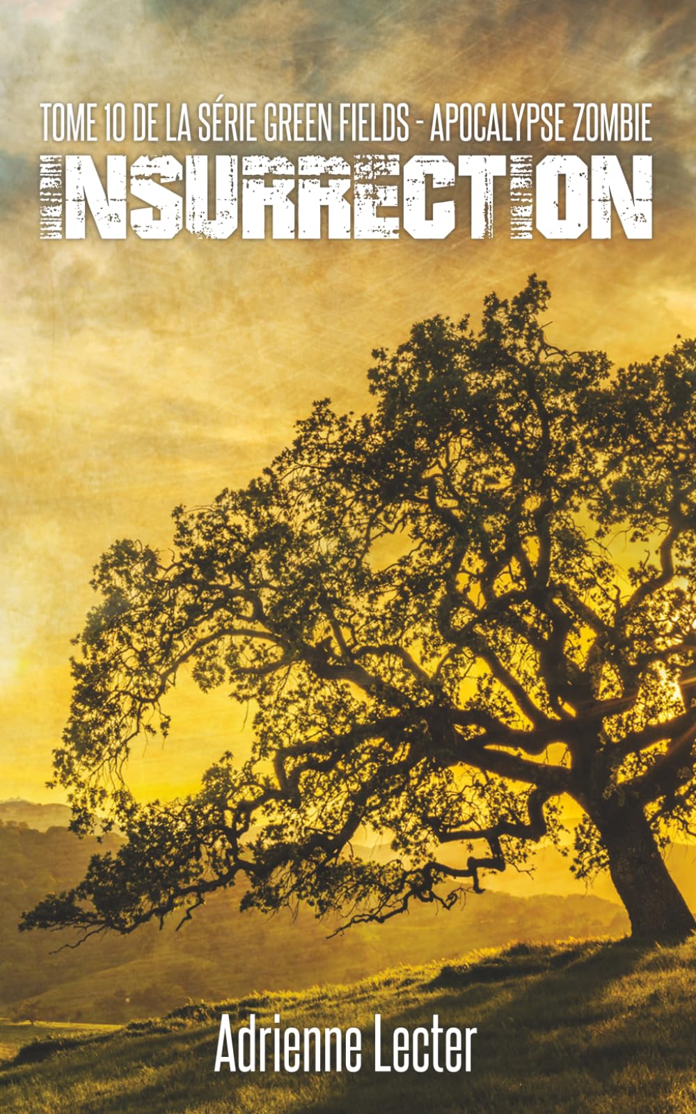 Insurrection - Tome 10 de la série Green Fields - Apocalypse Zombie