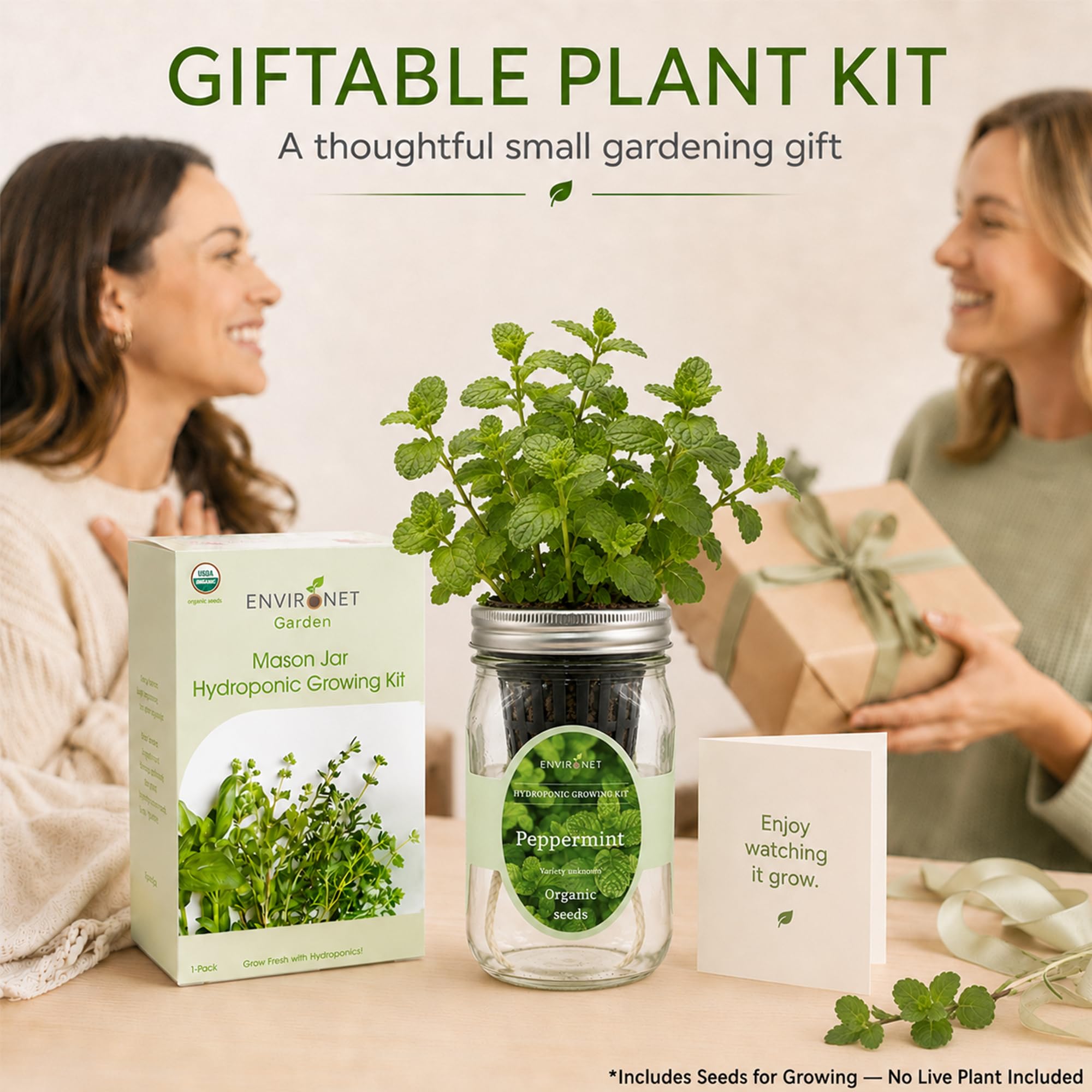 Kit per la coltivazione di erbe idroponiche, kit per la coltivazione di erbe aromatiche da giardino con vaso autoirrigante, per coltivare le tue erbe dai semi (menta piperita)