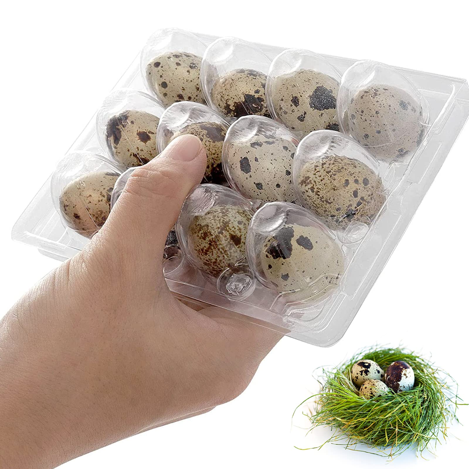plástico Cajas para huevos de codorniz reutilizables Acampada huevera cajas de almacenamiento huevos de codorniz 12 pequeños transparentes caja de almacenamiento Adecuado para Frigoríficos