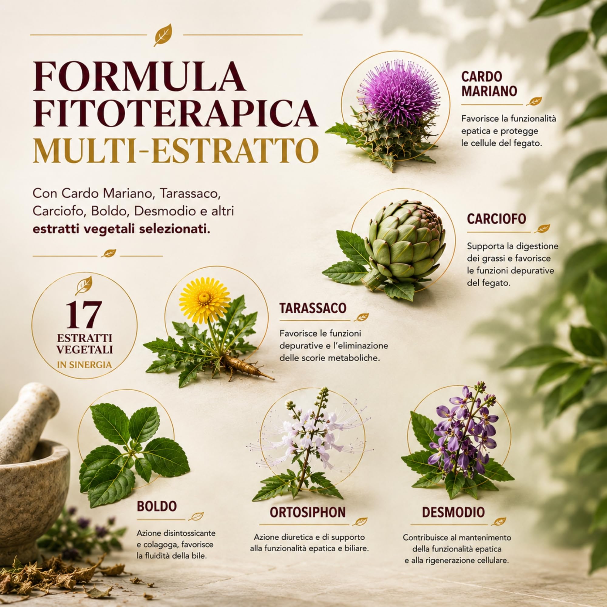 Detox fegato con cardo mariano, carciofo, tarassaco e boldo 500ml, Depurativo fegato liquido 17 attivi selezionati ad azione detossificante - Made in Italy