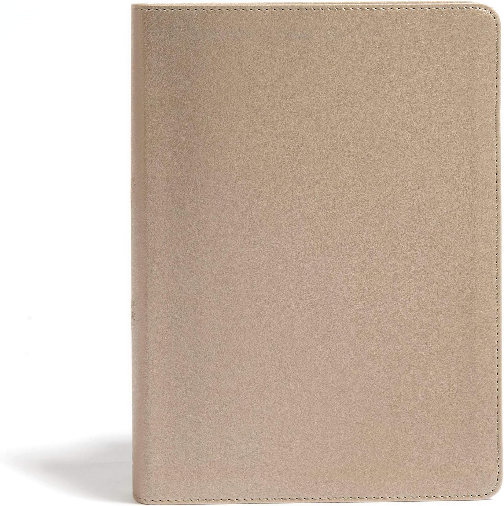 She Reads Truth Bible: Christian Standard Bible, Champagne, Leathertouch Hardcover – October 1, 2019