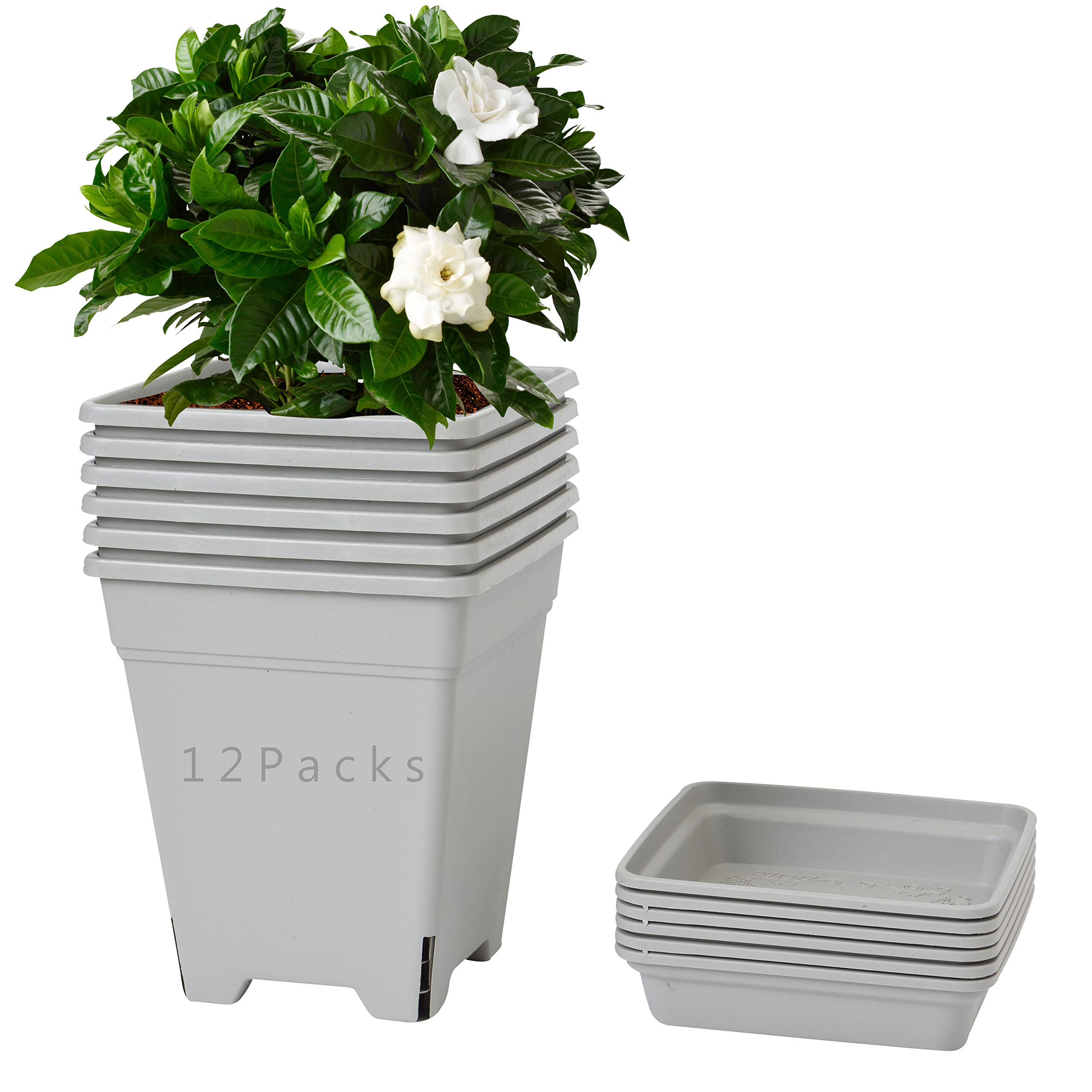 Buy 1 Gallon Square Nursery Pot with Saucers Garden Flower Pots
