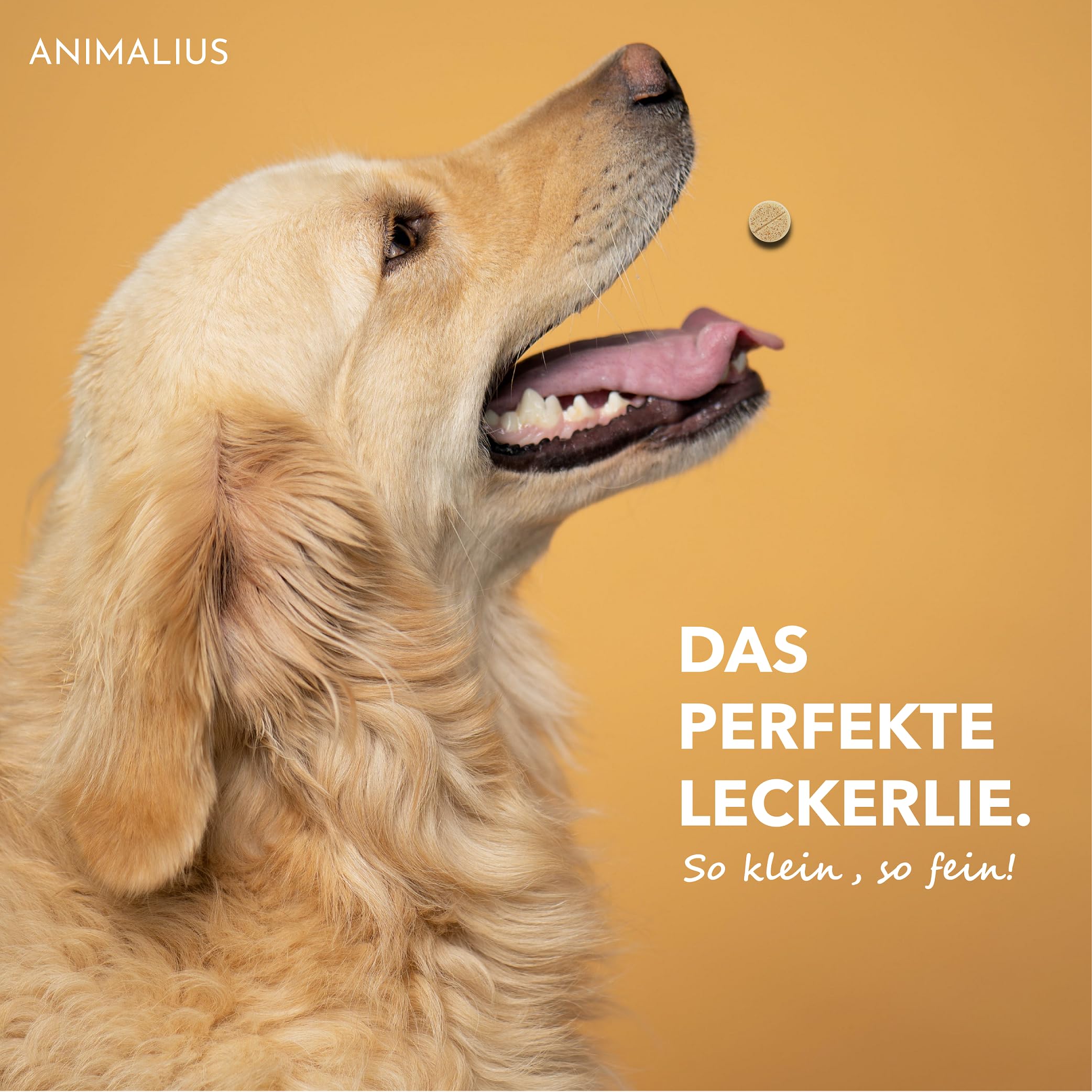 Lot de 120 comprimés articulaires pour chiens extra petits [pour toutes les races de chiens] – Avec moule à orles verts, MSM et griffe du diable – Comprimés pour chiens testés pour les os