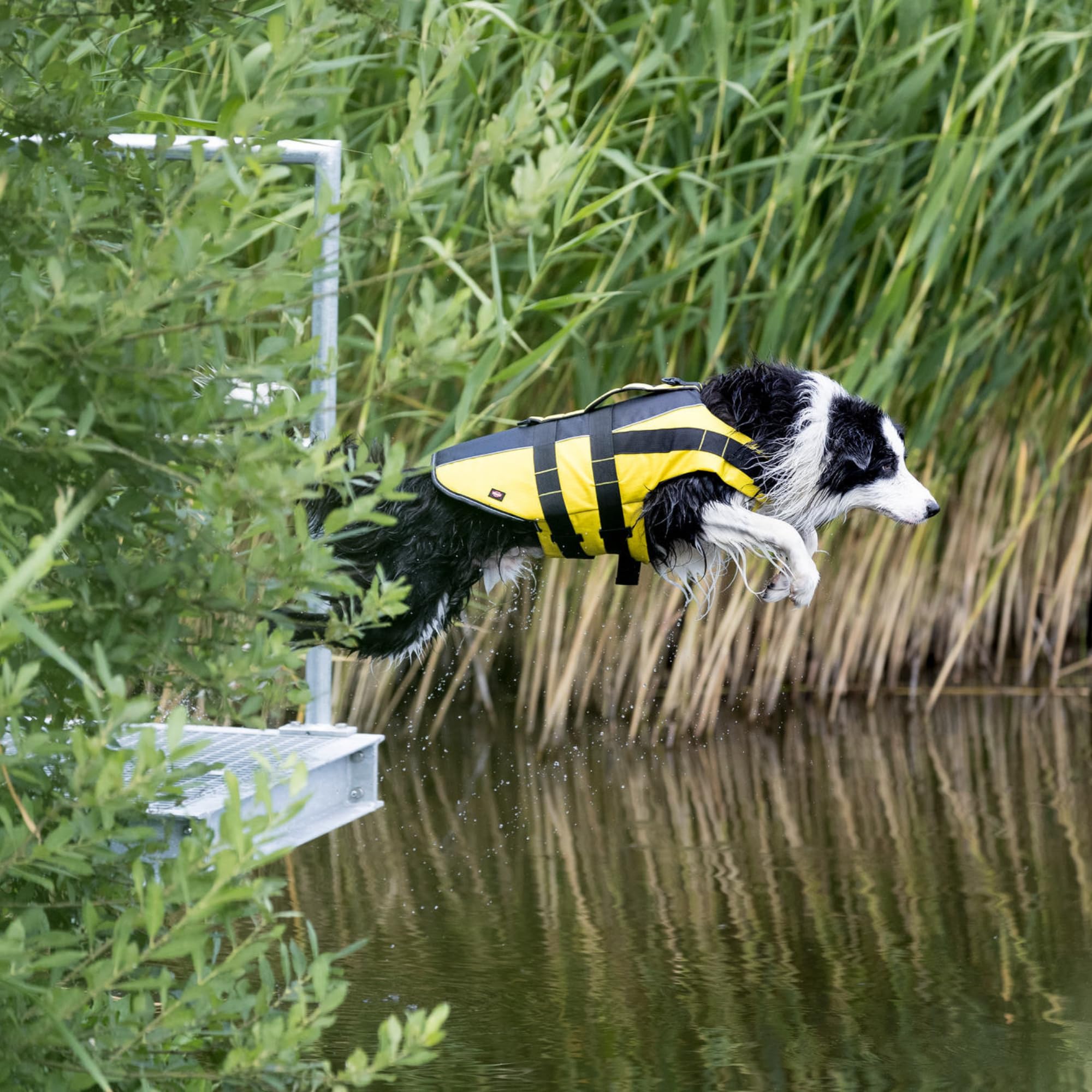 TRIXIE Hunde-Schwimmweste XL: 65 cm (bis 45 kg) neon-gelb – schnell trocknende Rettungsweste Hund mit Rettungsgriff für mehr Sicherheit bei Wasseraktivitäten wie Bootsausflüge & SUB - 30129