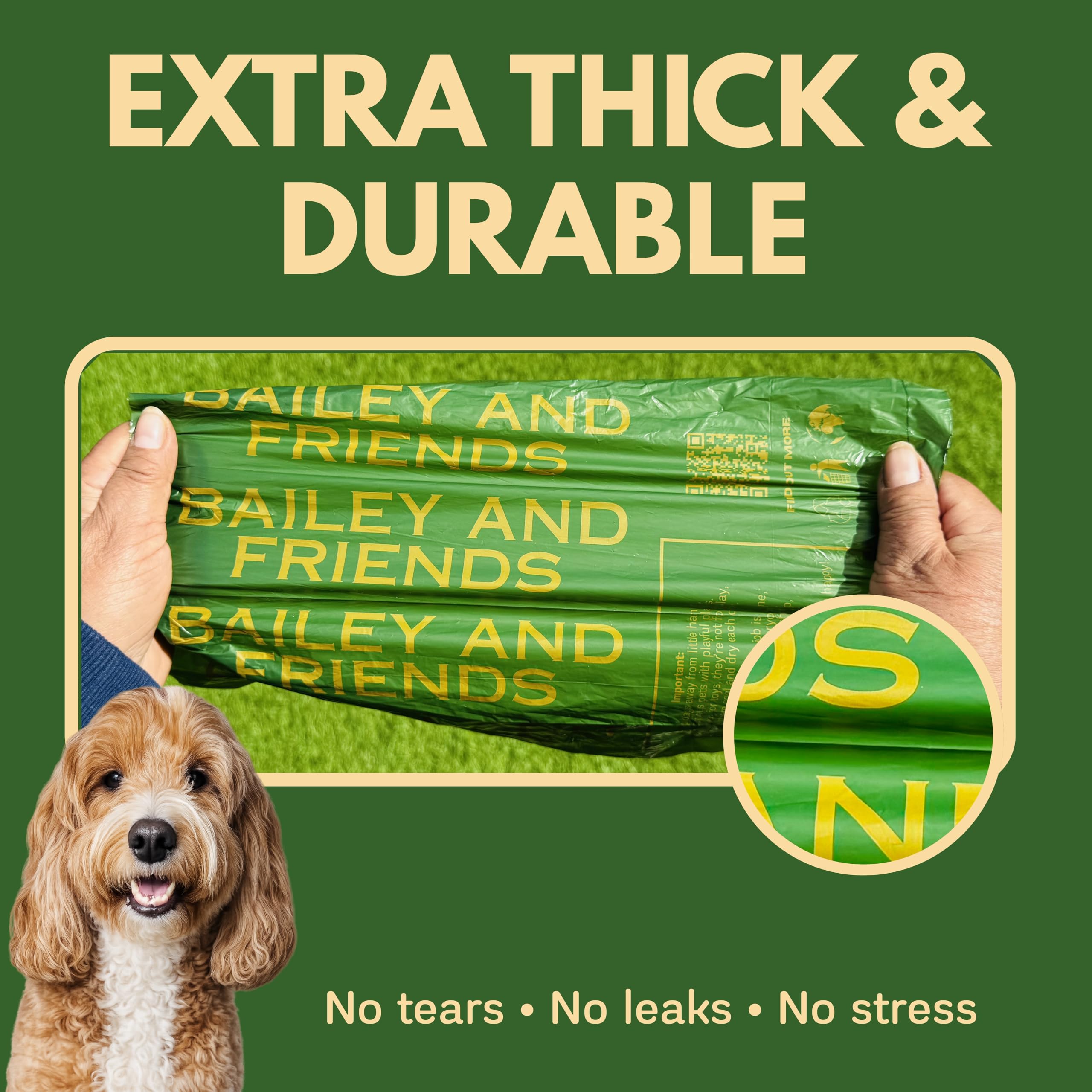 View 4