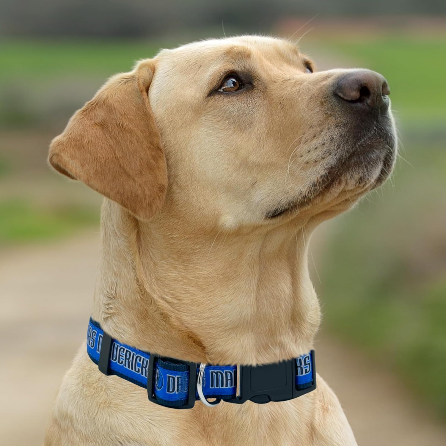 Pets First NBA PET Collar DALLAS MAVERICKS Dog Collar, Size Large Basketball Team Collar for Dogs & Cats. A Shiny & Colorful Dog & Cat Collar Licensed by the NBA
