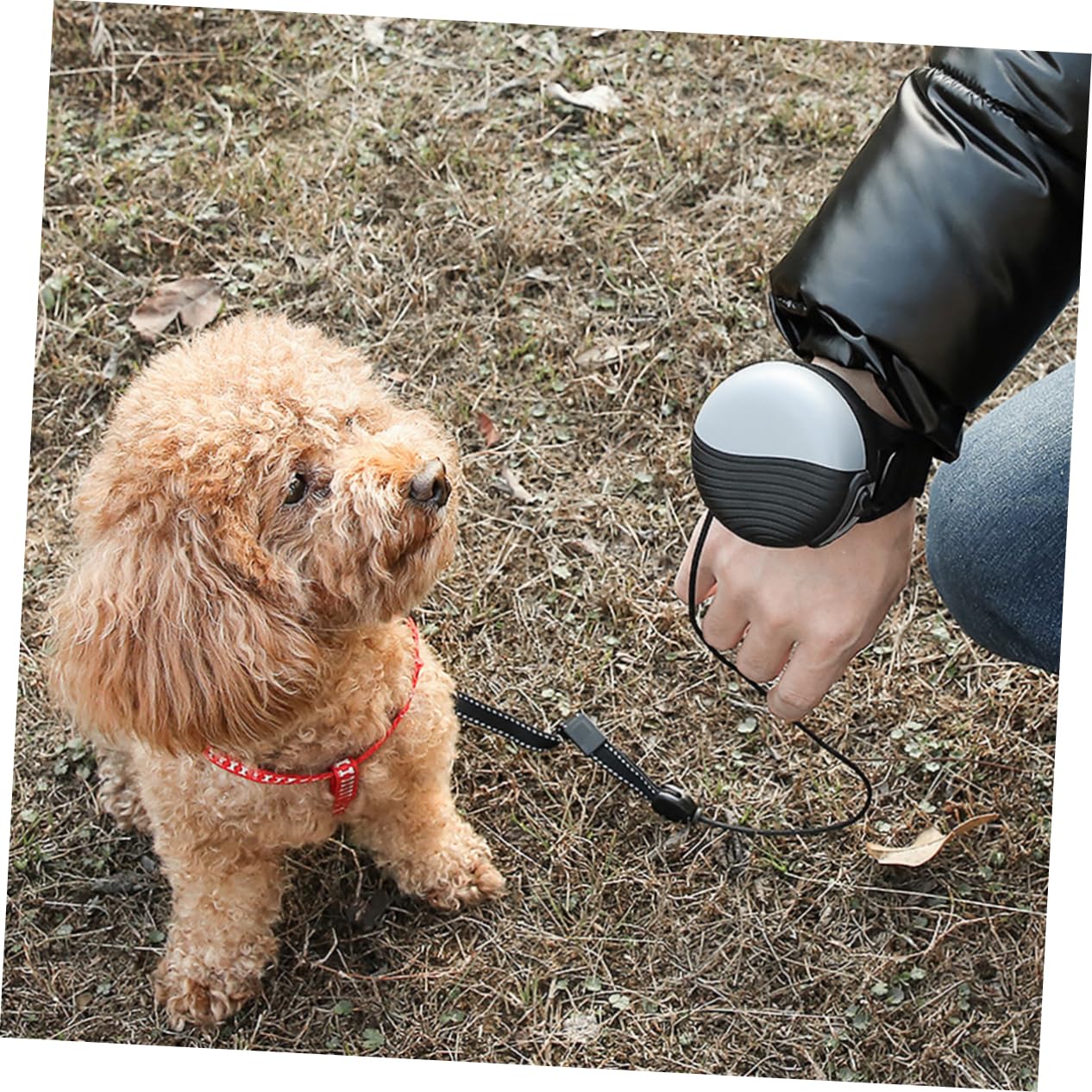 TOYANDONA Correa Retráctil Automática para Perros De Nailon Metros De Longitud para Paseos El Parque Mascotas Pequeñas