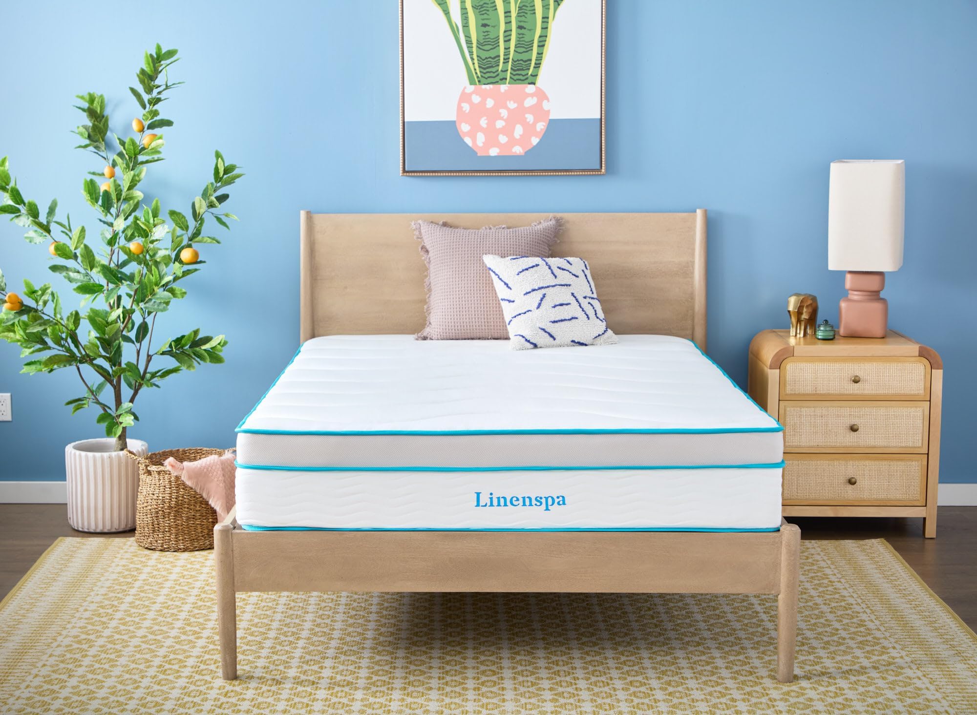 12 Inch Memory Foam and Spring Hybrid Mattress - Medium Plush Feel - Bed in a Box - Pressure Relief and Adaptive Support - Breathable - Cooling - Primary Bedroom - Queen Size