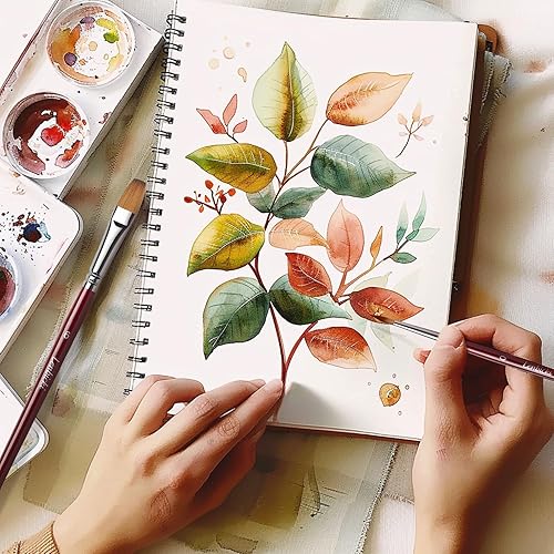 Miniatura 13 de Sable - Pinceles profesionales para acuarelas para artistas, 9 piezas, ideal para acuarela, acrílico, incluye punta redonda, plana, lengua de gato