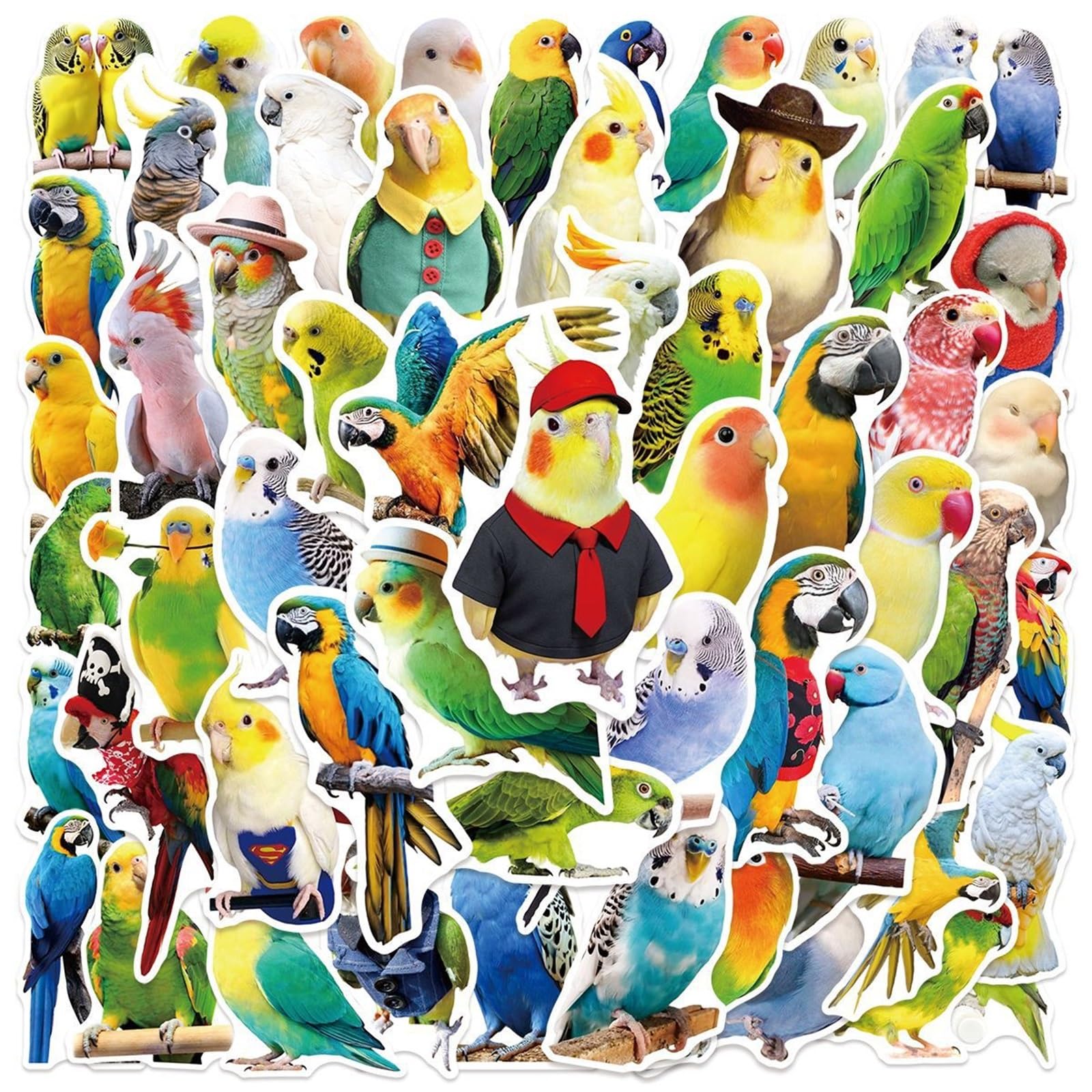 FGLFPXI 50-Pack Stickers for Phone Case Laptop Luggage Guitar Notebook Stationery Decals
