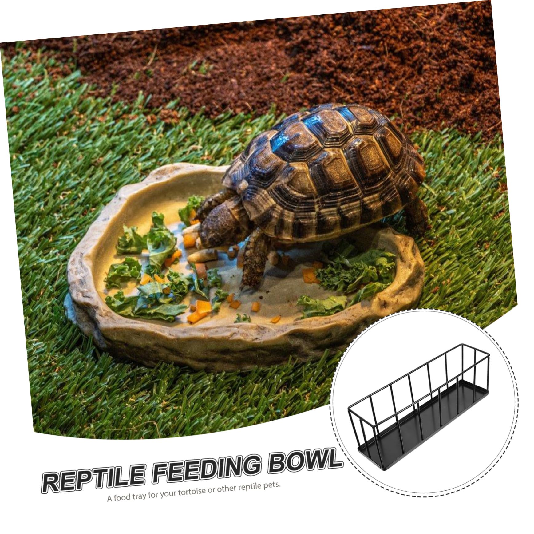 TEHAUX Comedero para Reptiles de Acero Inoxidable Antióxido Cuenco Resistente para Tortugas y Tortoisas Alimentador Seguro y Fácil de Limpiar para Terrarios y Animales Terrestres