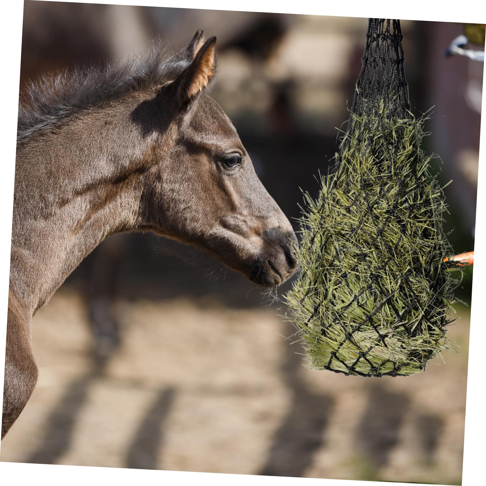 ibasenice 5 Piezas Bolsa de Alimentación Colgante Caballos Comedero Multifuncional de Malla Resistente Almacenamiento Capacidad de Limpiar y Transportar