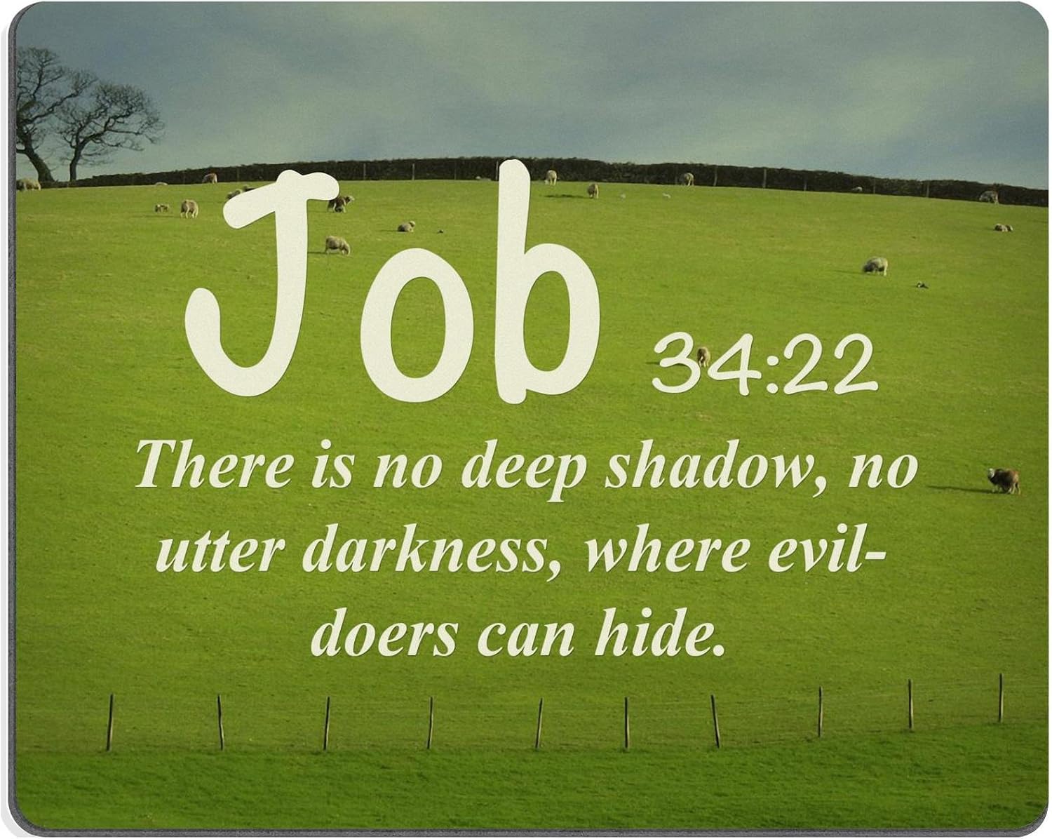 Quotes For Evil Doers Bible Verses Quote Job 34_22 There Is No Deep Shadow No Utter Darkness  Where Evildoers Can Hide Msd Customized Made To Order Cloth With Neoprene  Rubber Mouse Pads : Amazon.co.uk: Computers &