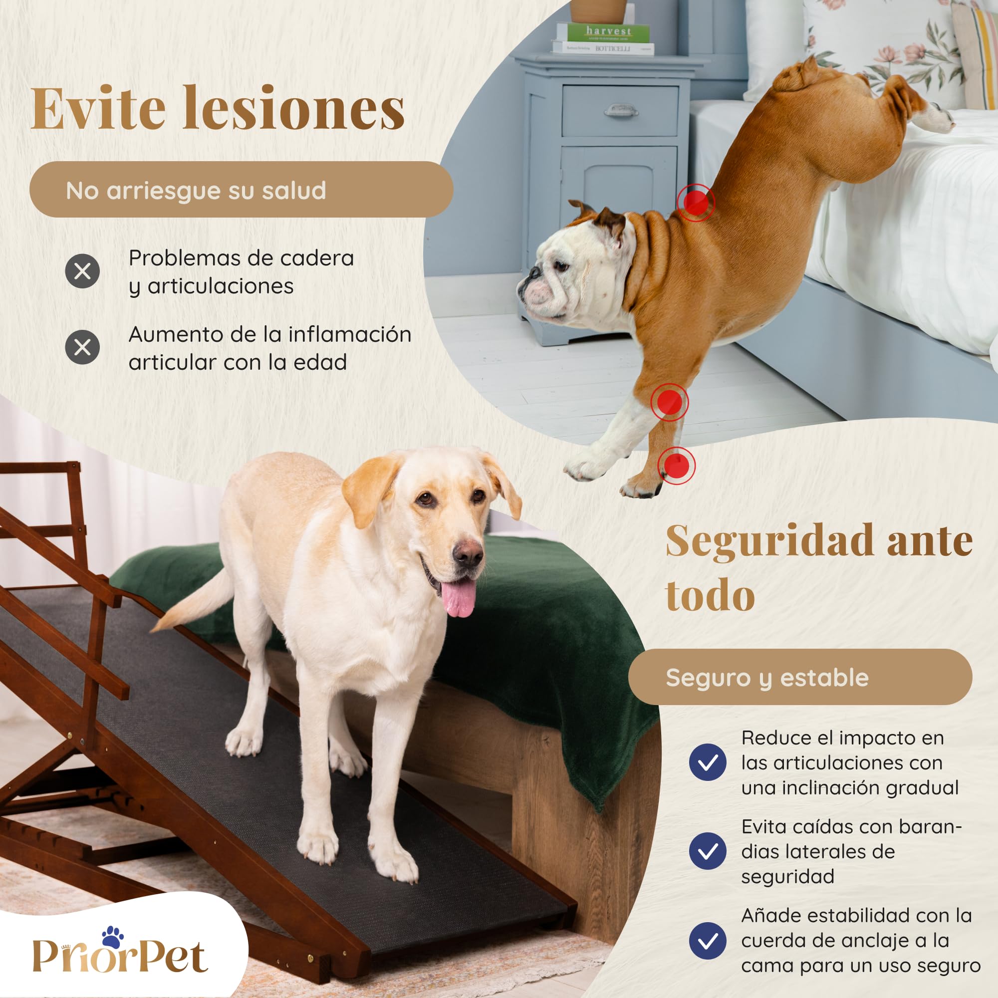 Rampa para Perros Cama con Rieles de Seguridad para Perros Grandes – para Camas Altas de hasta 94,5 cm – Soporta hasta 90 kg – Ancho 49,5 cm – Plegable, Antideslizante – Madera de Abedul – Nuez