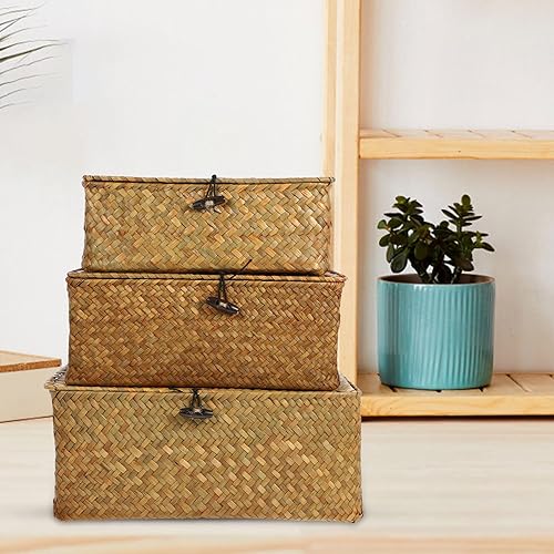 Miniatura 3 de Cesta de almacenamiento de ratán organizador de maquillaje contenedor multiusos con tapa (SML)