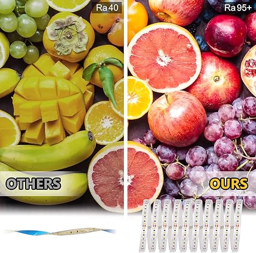 Miniatura 3 de EMITEVER Tira de luces LED para exteriores, impermeable, IP67, 24 V CC, luz de cinta LED, blanco cálido 3000 K, UL 2.9 W/pie,240+lúmenes/pie,16.4