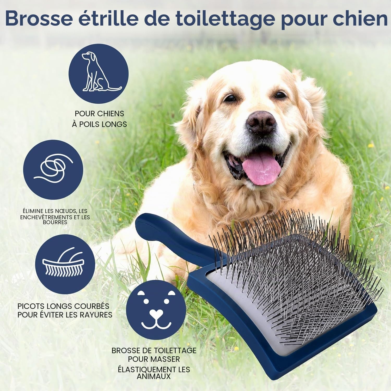 Slicker Brosse à Démêler pour Chien à Poils Longs et Mi-Longs, Kit de Toilette Slicker Brush Douce pour Goldendoodles et Caniches