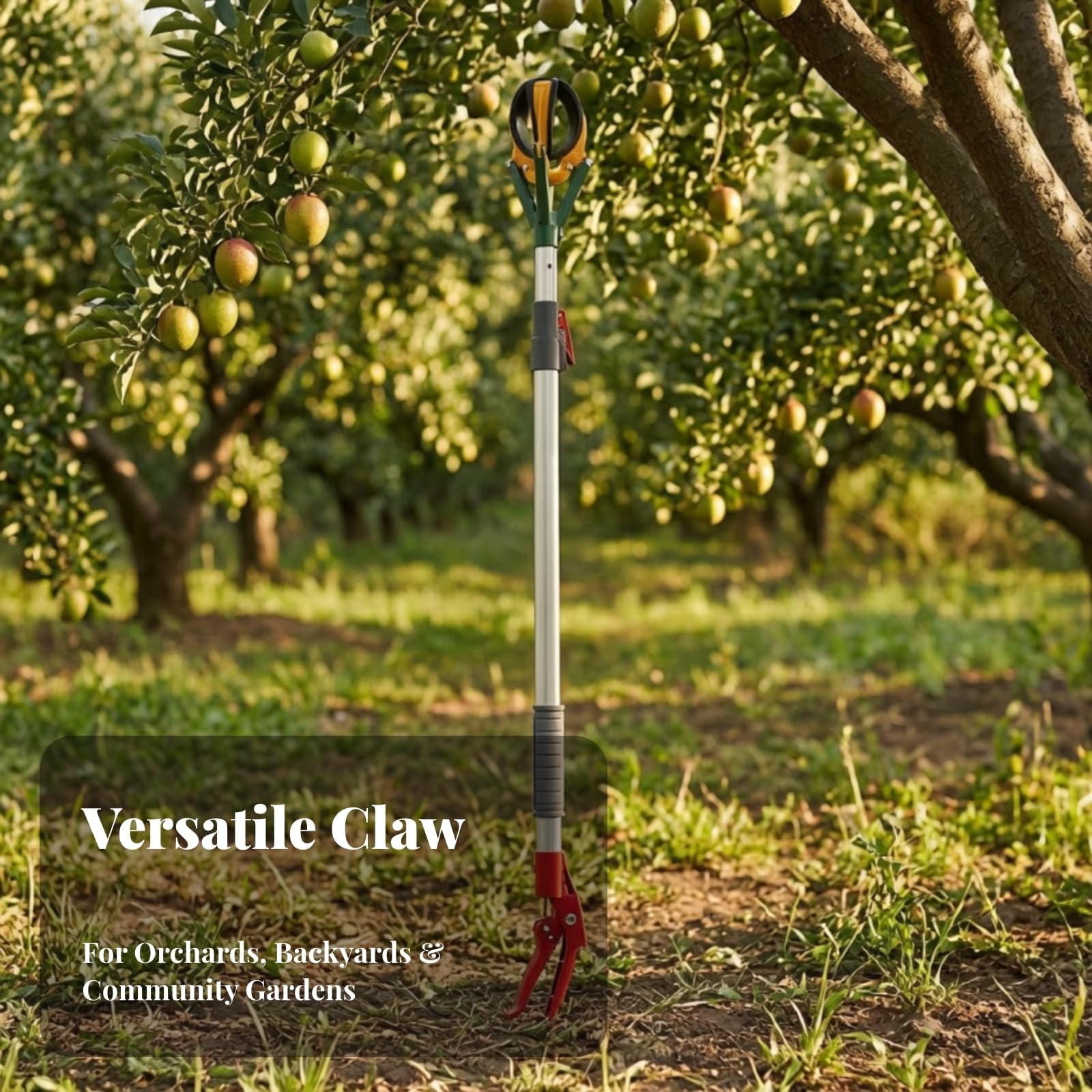 Raccoglifrutta Telescopico a Artigli Resistente Raccoglifrutta Manuale con Asta Telescopica per Giardino