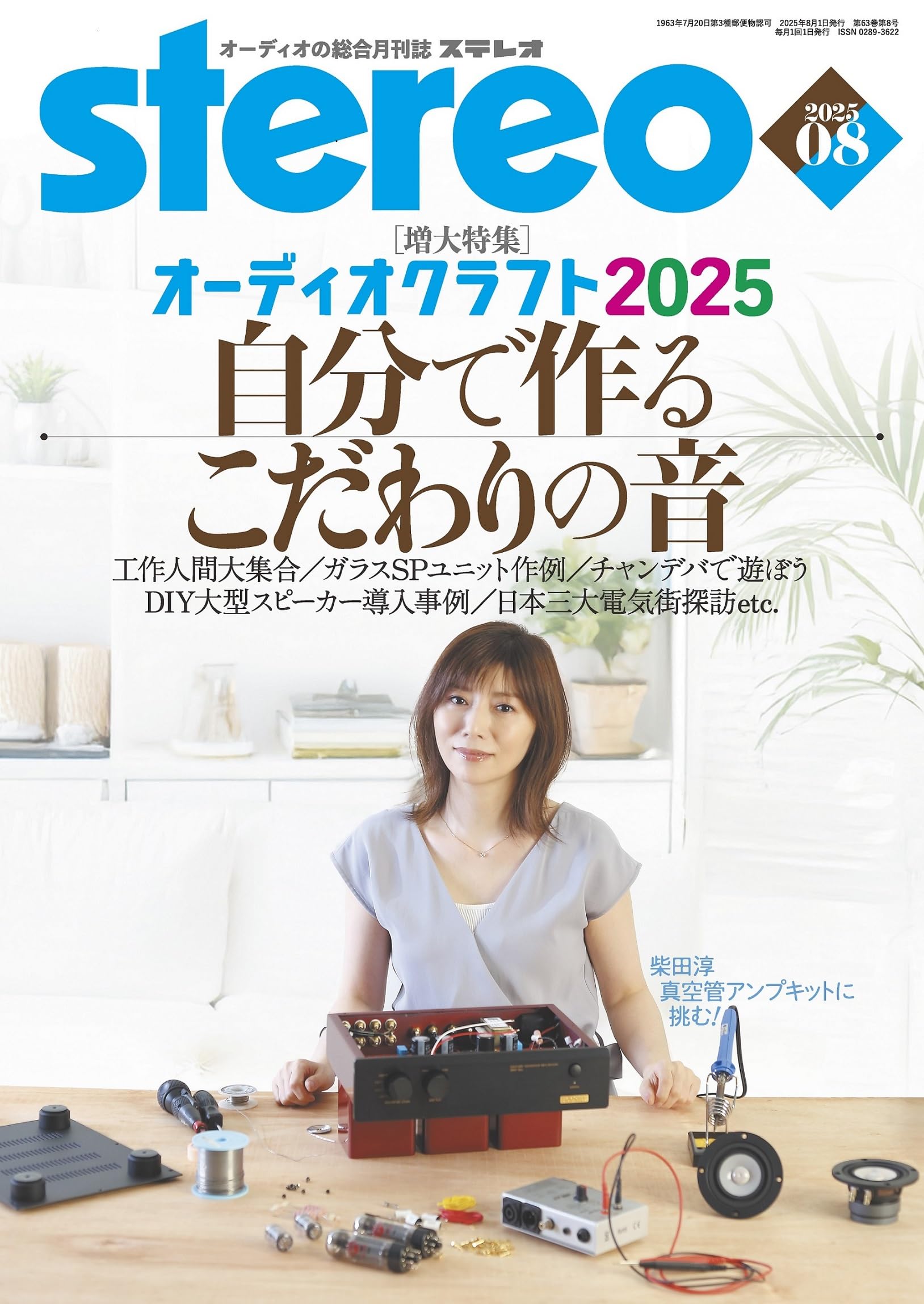 雑誌　ステレオ　Audio専門誌　計10冊 雑誌 ステレオ Audio専門誌 計10冊 ステレオ 2024年10月号 (10号)