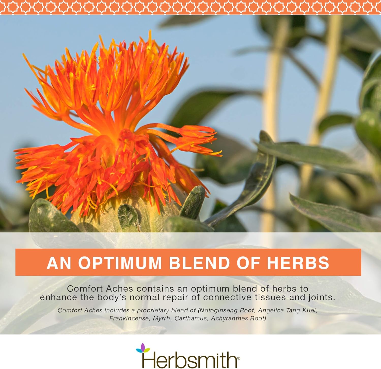 Herbsmith Comfort Aches – Herbal Pain Relief for Dogs + Cats – For Pet Aches + Pains – Anti-Inflammatory Supplement – 150g Powder