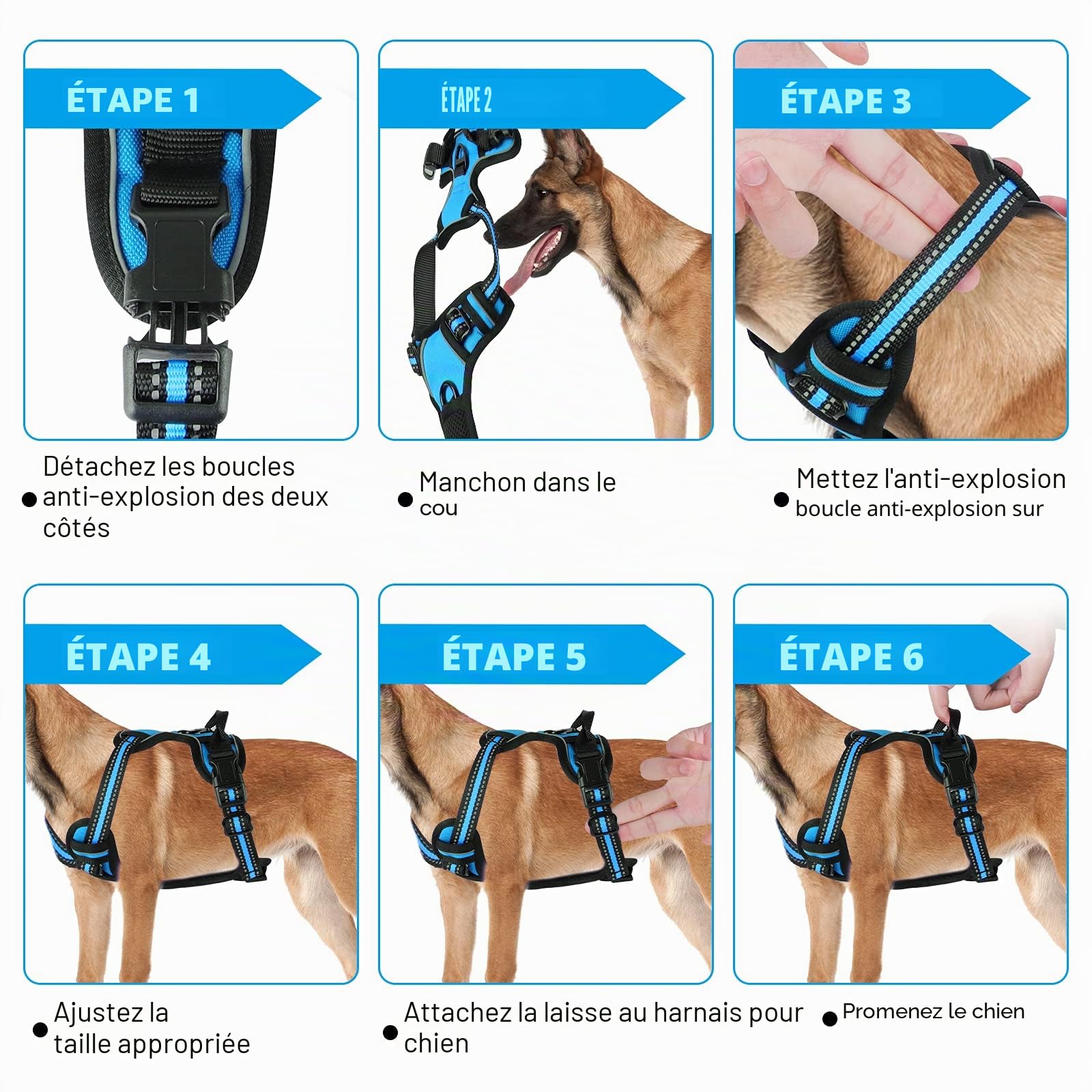 Harnais Chien, Harnais Anti Traction pour Chien, Harnais Chien Anti Traction Réfléchissant, avec Laisse pour Chien, pour Entraînement en Plein Air