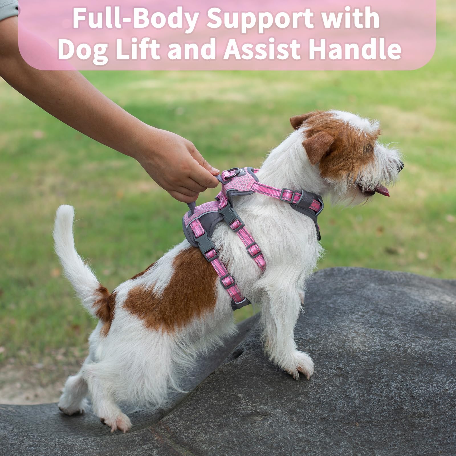 Huntboo Escape Proof Dog Harness Medium, Anti-Pull Dog Harness with Handle, Breathable, Adjustable, Reflective Dog Harnesses - Image 4