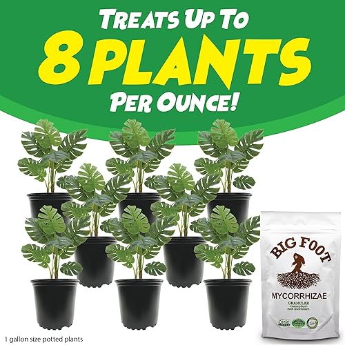 Miniatura 5 de Big Foot Hongos micorrícicos granulares para trasplantes - para todas las plantas - Estimulador de raíces fácil de usar - Trata 1200 plantas