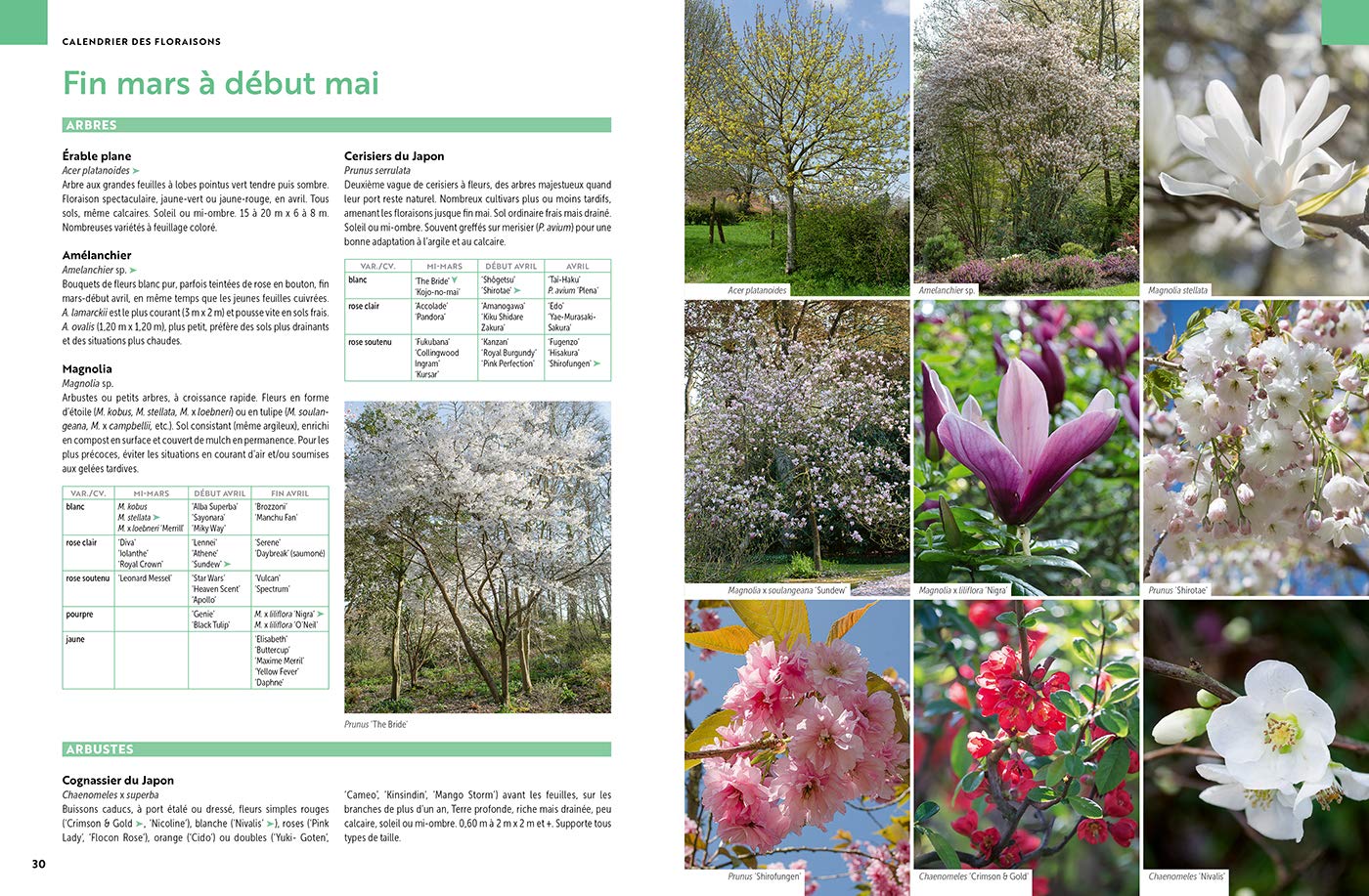 Toutes les plantes, pour toutes les envies & toutes les situations: Toutes les plantes de jardin, pour toutes les envies et toutes les situations