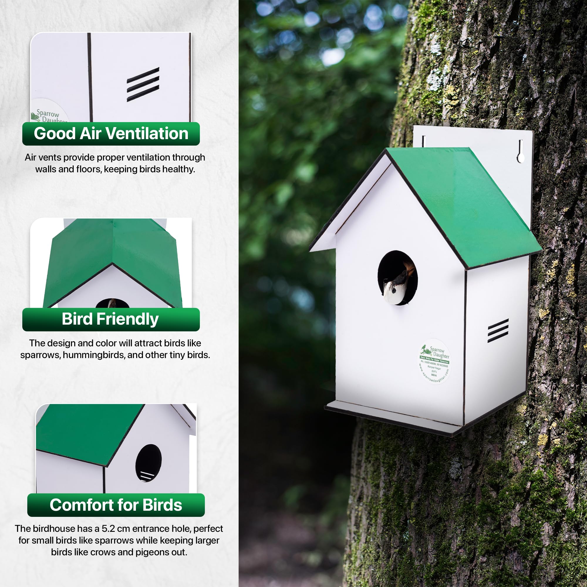 Sparrow Daughters Wooden Hut Shape Bird House | MDF Birdhouse for Sparrows, Love Birds & Small Birds | Balcony, Garden & Window Grill Hanging | Weather Resistant | 4 Colours | Made in India | Green 3