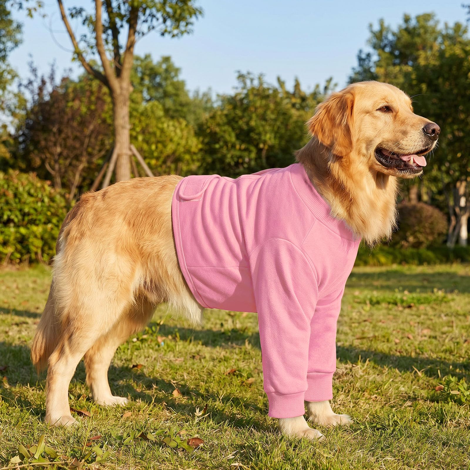 CITÉTOILE Tuta di Recupero Cane Mezzo Corpo, Rabbocco Postoperatorio Anteriore, Maglia Medica Antilamido per Ferite e Suture, Protezione Gomito e Ginocchio, Alternativa al Collare Elisabettiano