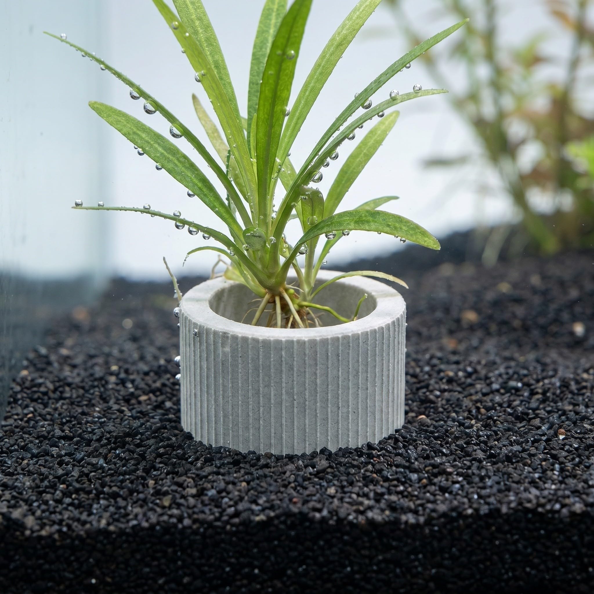 LALAFINA 30 Unidades Anillo Fijo para Acuario de Cerámica para Plantas Acuáticas Instalación Simple y Versátil, Adecuado para Acuarios y Tanques de Agua Salada