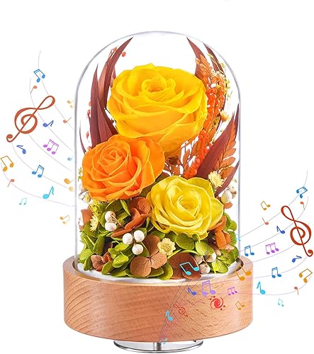 Miniatura 7 de Eterfield Flores para Entrega Prime, Rosas Preservadas de Navidad Regalos para Mujeres - Flor Eterna en Cúpula de Vidrio Regalos de Cumpleaños para