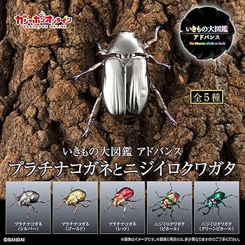 いきもの大図鑑アドバンス ニジイロクワガタ 全4種セット いきもの大図鑑アドバンス ニジイロクワガタ｜ガシャポン