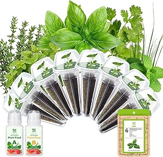 Herb Seed Pod Kit With Basil Mint Thyme Mixed, Grow Anything Seed Starte...